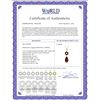 Image 2 : Genuine 2.78 ctw Garnet & Diamond Necklace 14KT Yellow Gold