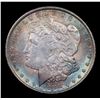 Image 2 : ***Auction Highlight*** 1886-p Rainbow Toned vam 6b R-5 Morgan Dollar $1 Graded GEM+ Unc BY USCG (fc