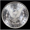 Image 3 : ***Auction Highlight*** 1884-o Morgan Dollar $1 Graded Choice Unc+ DMPL By USCG (fc)