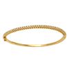 Image 1 : 0.84 CTW Diamond Bangle 14K Yellow Gold