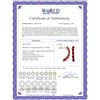 Image 2 : Genuine 2.5 ctw Ruby Earrings 14KT White Gold