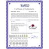 Image 2 : Genuine 1.02 ctw Ruby & Diamond Ring 14KT White Gold