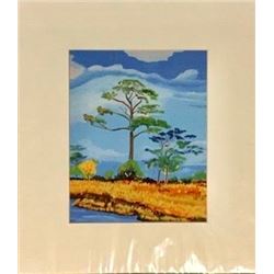 Lone Pine in the Suwannee