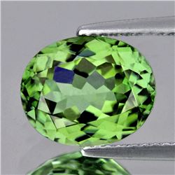 Natural AAA Green Apatite - 3.92 Ct - FLawless