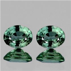 NATURAL BRILLIANT GREEN SAPPHIRE PAIR 6x5 MM - FL