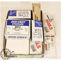 TRAY OF ASSORTED BRAD NAILS & STAPLES