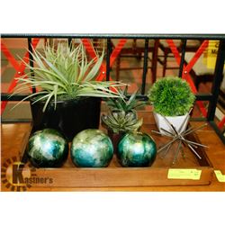 SHOWHOME WOOD TRAY WITH PLANTS & MORE