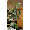 Image 1 : ARTIFICIAL PLANT