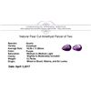 Image 3 : 12.75 ctw. Natural Pear Cut Amethyst Parcel of Two