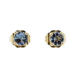 0.60 ctw Blue Topaz Stud Earrings - 14KT Yellow Gold