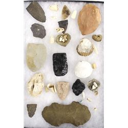 Prehistoric Stone Tools and Shell Beads