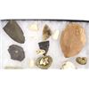 Image 2 : Prehistoric Stone Tools and Shell Beads