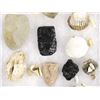 Image 3 : Prehistoric Stone Tools and Shell Beads