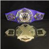 Image 1 : WWE REPLICA CHAMPIONSHIP BELTS LOT