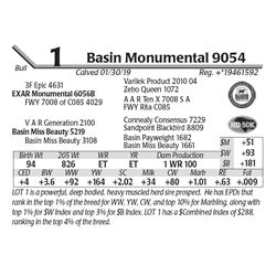 Basin Monumental 9054