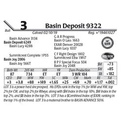Basin Deposit 9322
