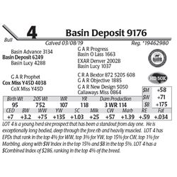 Basin Deposit 9176