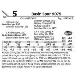 Basin Spur 9079
