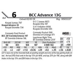 BCC Advance 13G