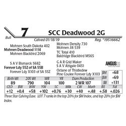 SCC Deadwood 2G