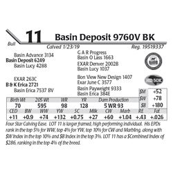 Basin Deposit 9760V BK