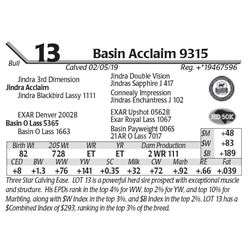 Basin Acclaim 9315