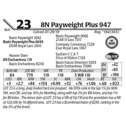 8N Payweight Plus 947