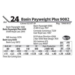 Basin Payweight Plus 9082