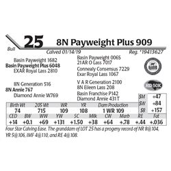 8N Payweight Plus 909