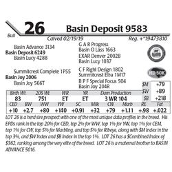 Basin Deposit 9583