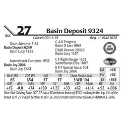 Basin Deposit 9324