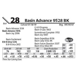 Basin Advance 9528 BK