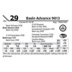 Basin Advance 9013