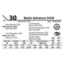 Basin Advance 9410