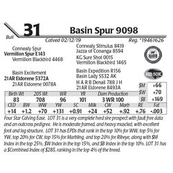 Basin Spur 9098