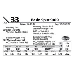 Basin Spur 9109