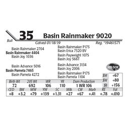 Basin Rainmaker 9020