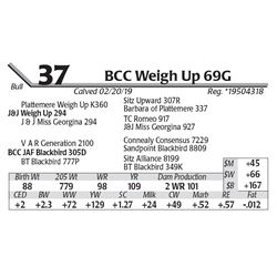 BCC Weigh Up 69G