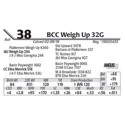 BCC Weigh Up 32G