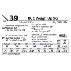 BCC Weigh Up 5G