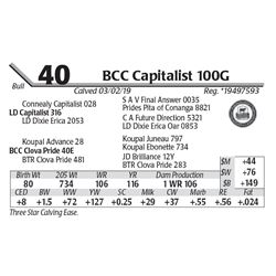 BCC Capitalist 100G