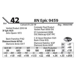 8N Epic 9459