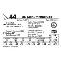 8N Monumental 944