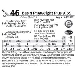 Basin Payweight Plus 9169