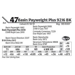 Basin Payweight Plus 9216 BK