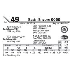 Basin Encore 9060