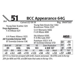 BCC Appearance 64G