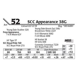 SCC Appearance 38G