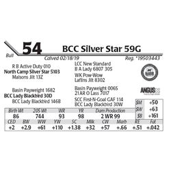 BCC Silver Star 59G