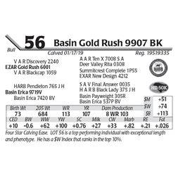 Basin Gold Rush 9907 BK